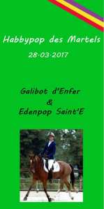 Habbypop des Martels