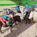 WhatsApp Image 2022-11-10 at 20.14.13